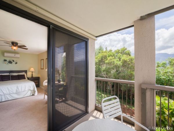 Princeville Condo 955320
