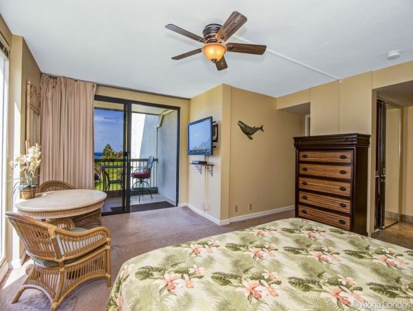 Princeville Condo 955320