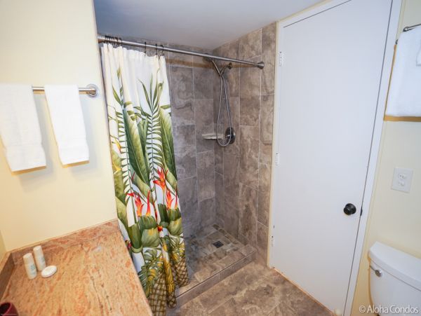 Princeville Condo 955320