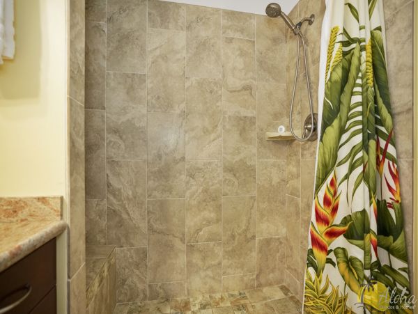 Princeville Condo 955320