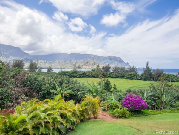 Princeville Condo 955320