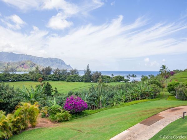 Princeville Condo 955320