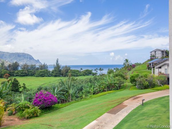 Princeville Condo 955320