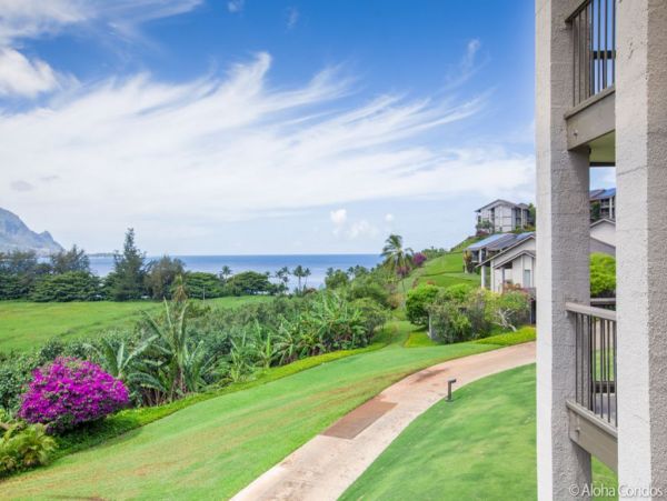 Princeville Condo 955320