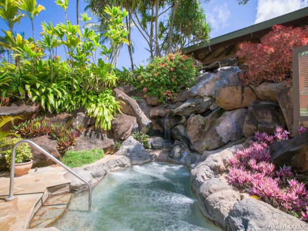 Princeville Condo 955320