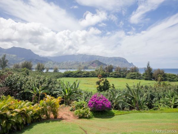 Princeville Condo 955321