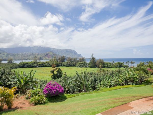 Princeville Condo 955321