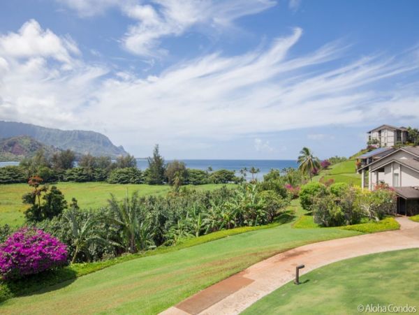 Princeville Condo 955321