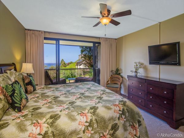 Princeville Condo 955321