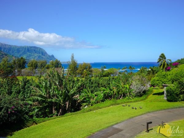 Princeville Condo 955322