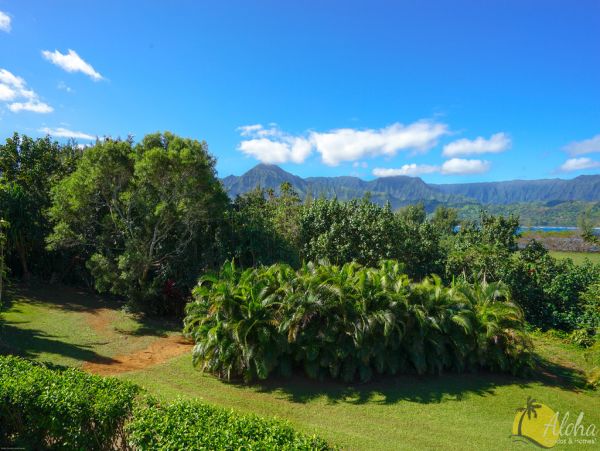 Princeville Condo 955322