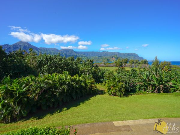 Princeville Condo 955322
