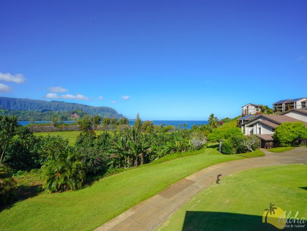 Princeville Condo 955322