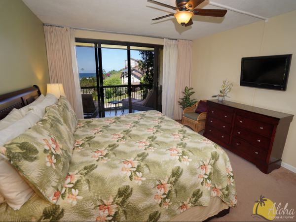 Princeville Condo 955322