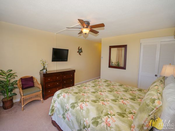 Princeville Condo 955322