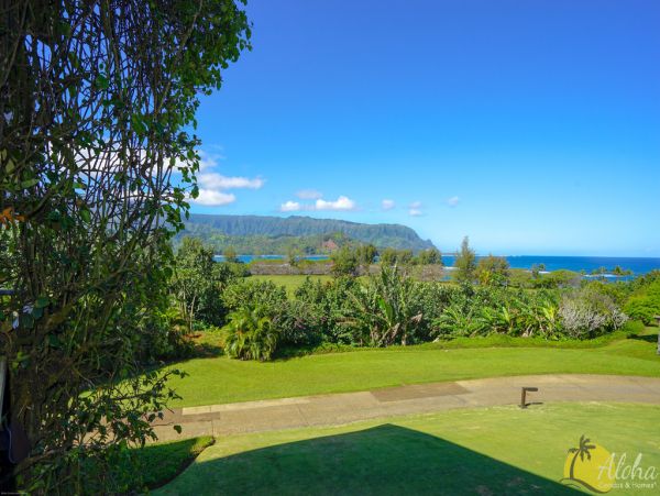 Princeville Condo 955322