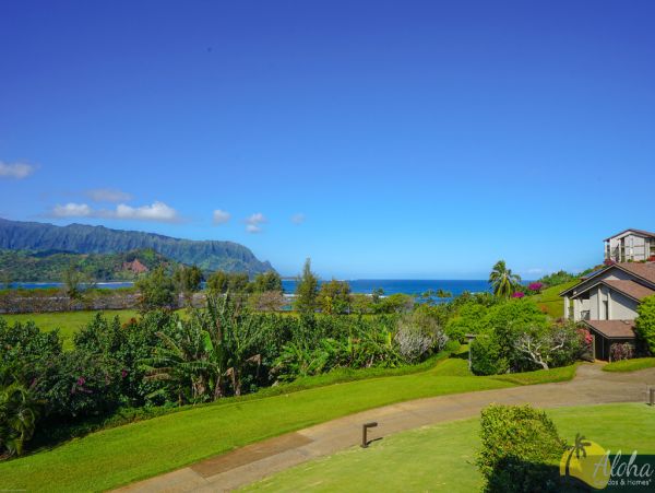 Princeville Condo 955322