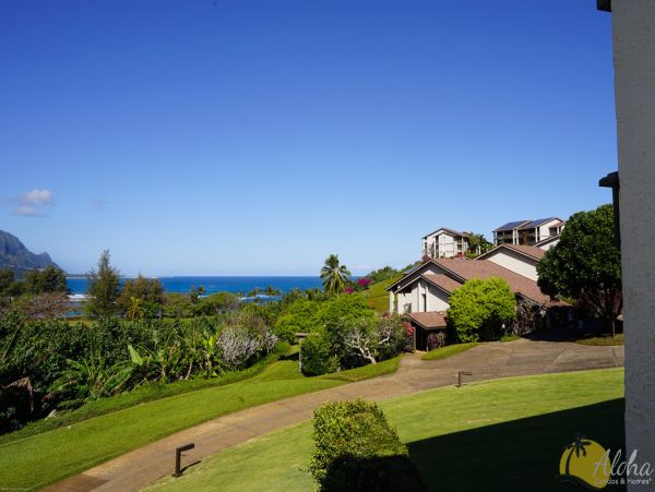 Princeville Condo 955322