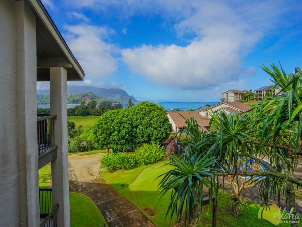 Princeville Condo 955324