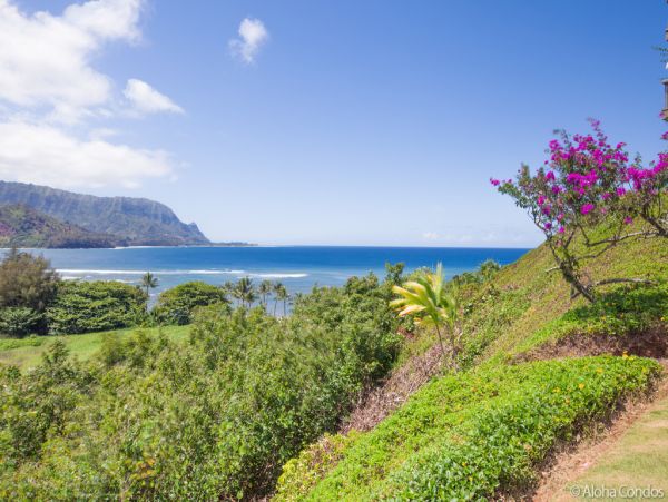 Princeville Condo 955325