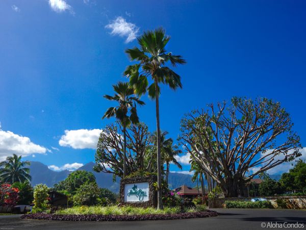 Princeville Condo 955325