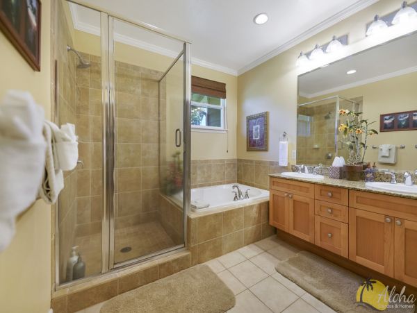 Princeville Home 955326
