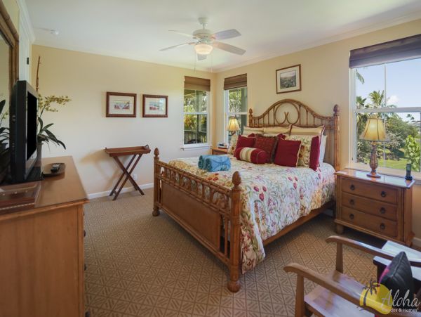 Princeville Home 955326