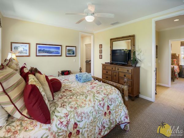 Princeville Home 955326