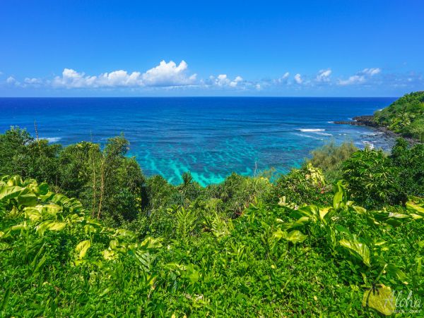Princeville Condo 955330