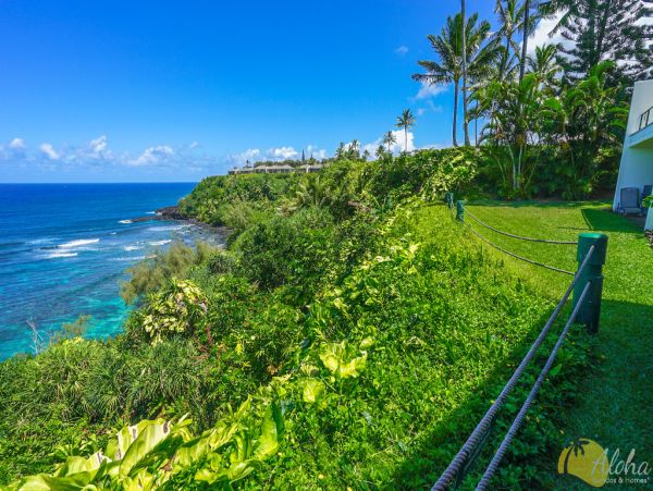Princeville Condo 955330