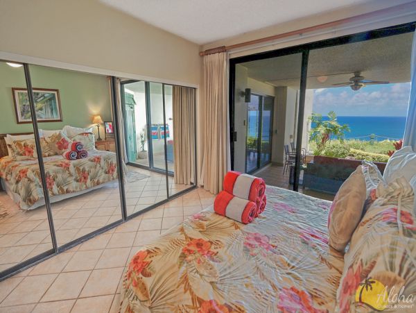 Princeville Condo 955330