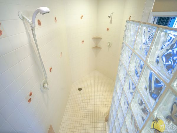 Princeville Condo 955330
