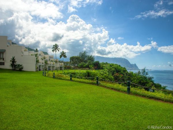 Princeville Condo 955330