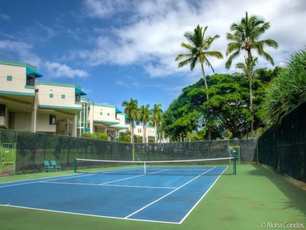 Princeville Condo 955330