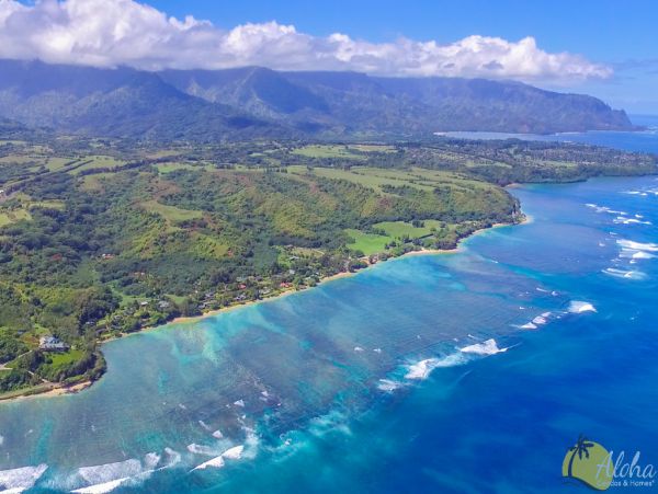 Princeville Condo 955330