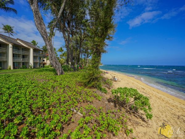 Koloapoipu Condo 955349