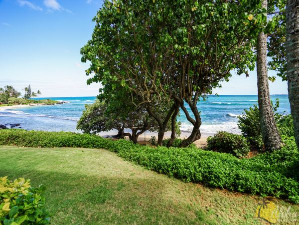 Koloapoipu Condo 955351