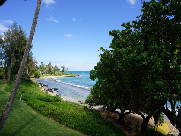 Koloapoipu Condo 955351