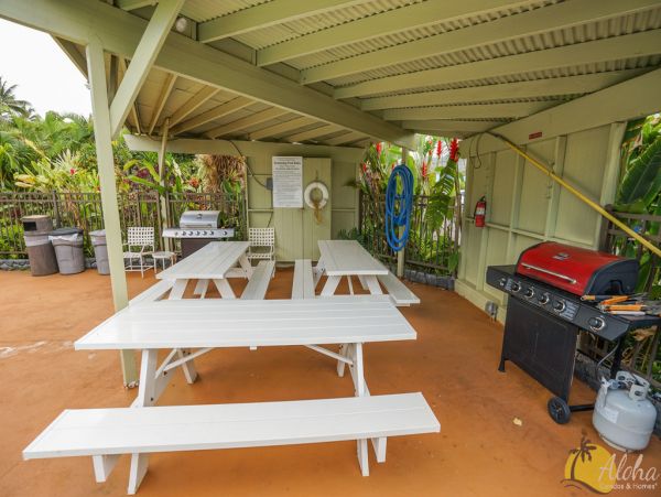 Koloapoipu Condo 955351
