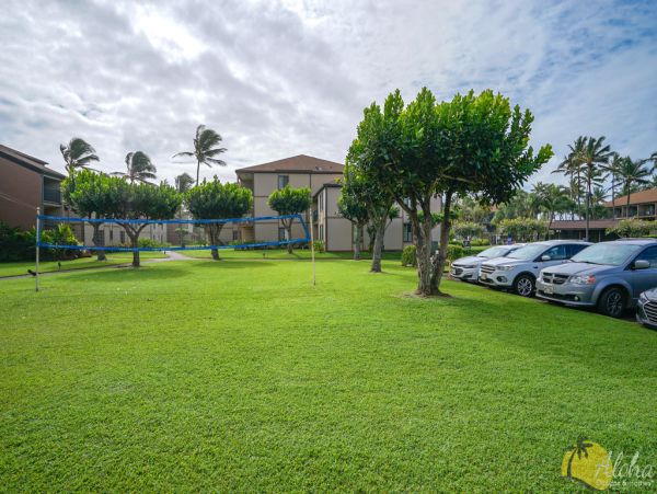 Koloapoipu Condo 955352