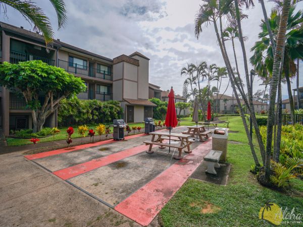Koloapoipu Condo 955352