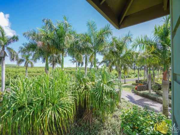 Koloapoipu Condo 955357