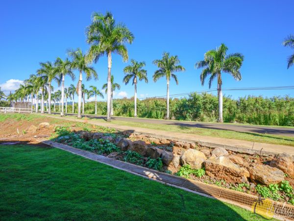 Koloapoipu Condo 955358