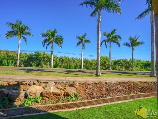 Koloapoipu Condo 955358