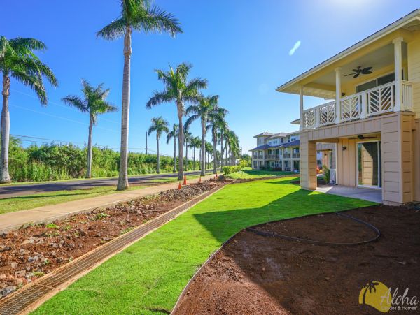 Koloapoipu Condo 955358
