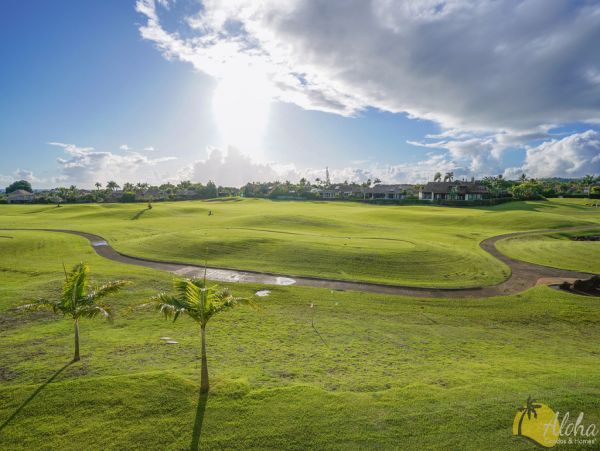 Koloapoipu Condo 955359