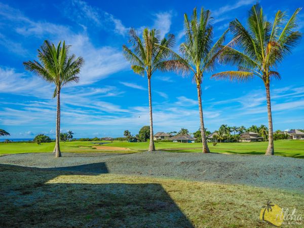 Koloapoipu Condo 955363