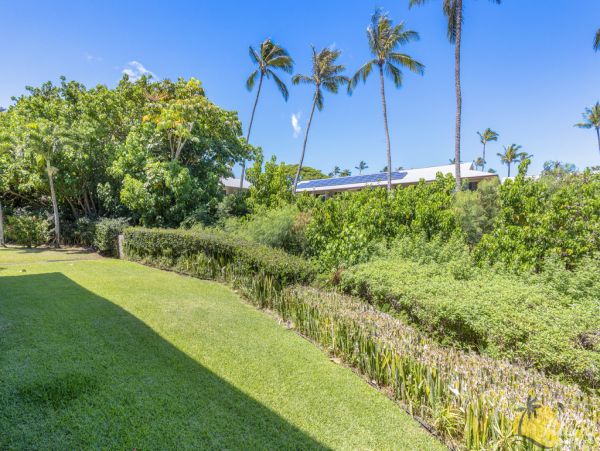 Kahana Condo 955366