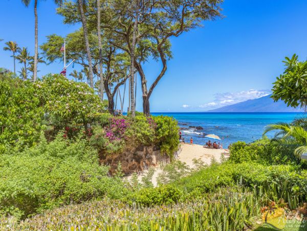 Kahana Condo 955366