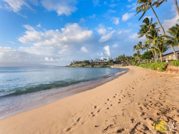 Kahana Condo 955366